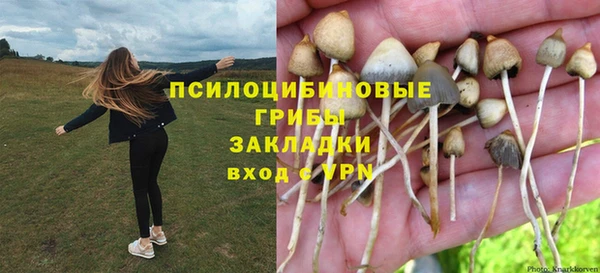альфа пвп Армянск