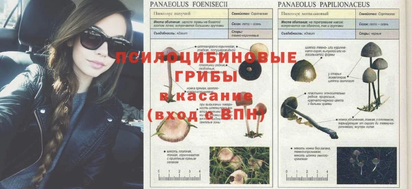 альфа пвп Армянск