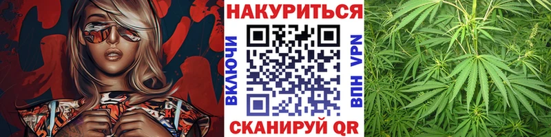 купить закладку  OMG онион  Конопля SATIVA & INDICA  Сосновоборск 